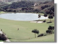 Eleventh Tee