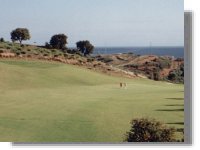 Fourteenth Tee