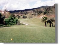 Fourth Tee