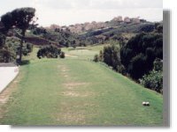 Seventh Tee