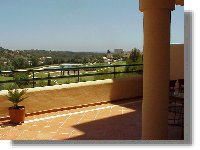 The Terrace