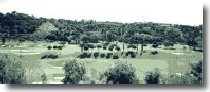 View of the Golf Course from the terrace